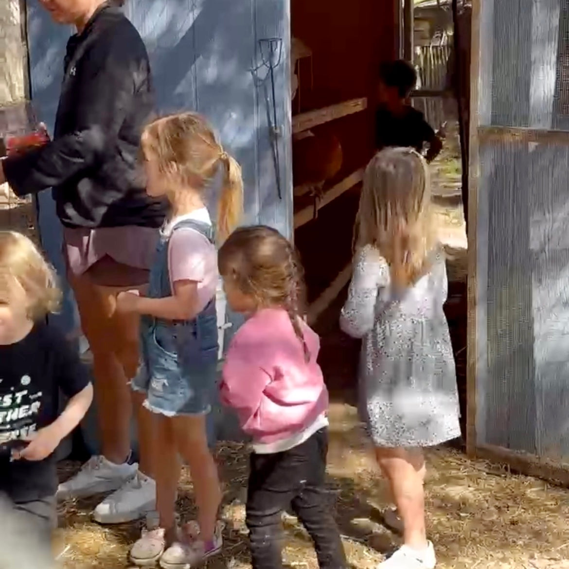 THE JOY OF CHILDREN