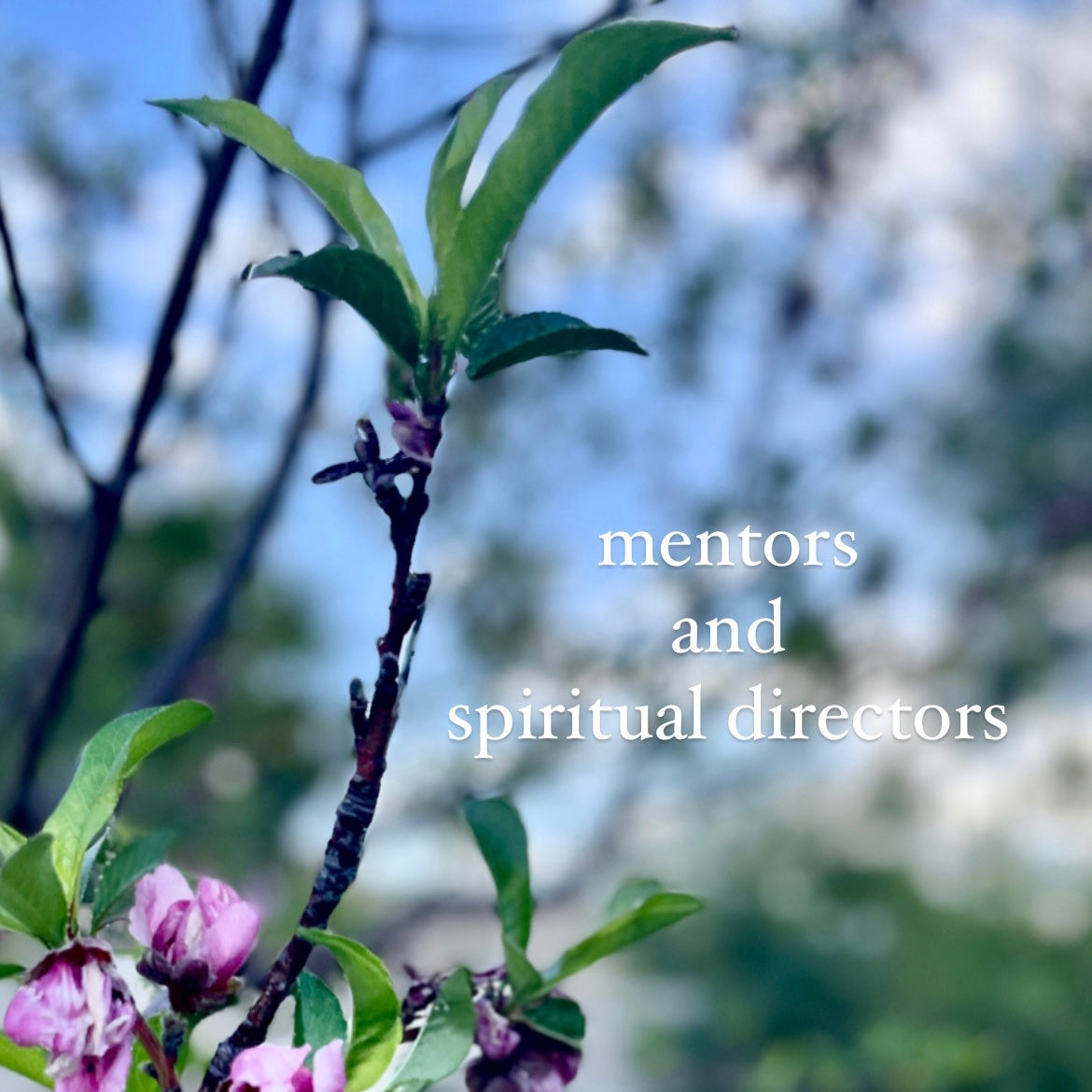 MENTORS & SPIRITUAL DIRECTORS