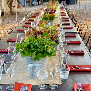 OCTOBER 2024 FARM DINNER