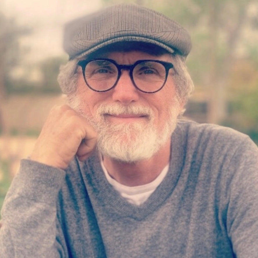 THESE ARE THE GLORY DAYS by Michael J. Ledner