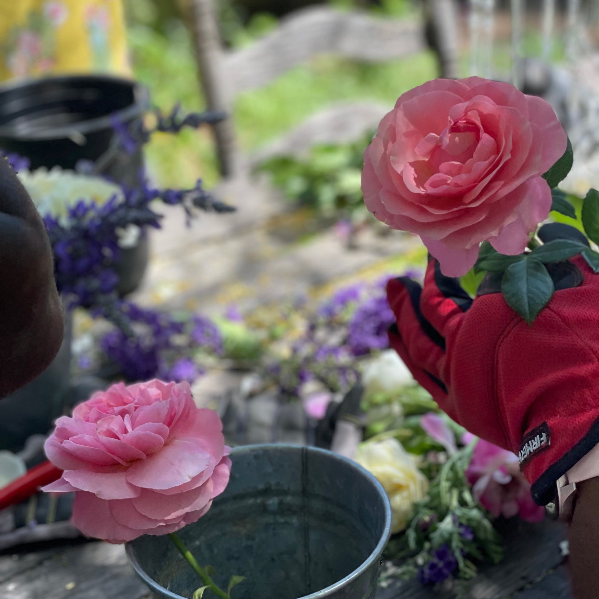 TERROIR  - WHAT IS IT?