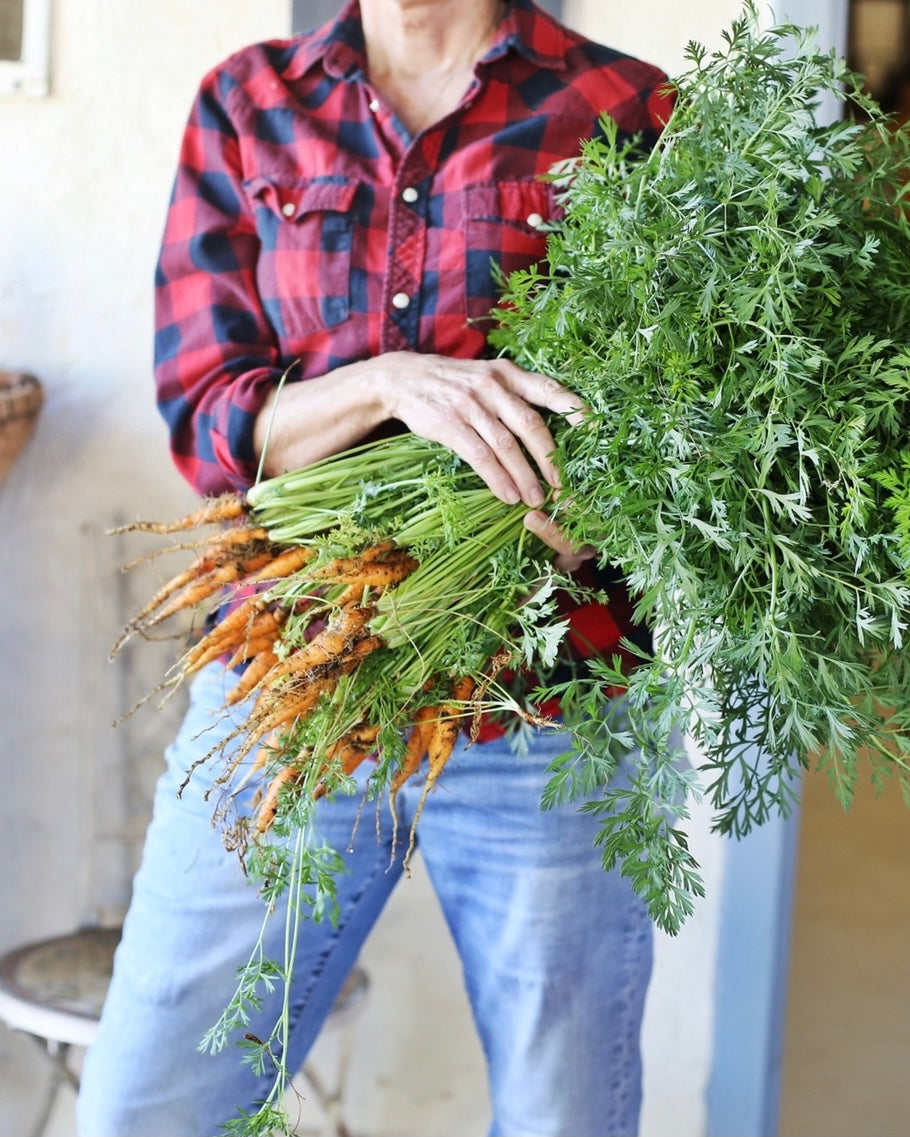 WE BEGAN HOMESTEADING IN 2008