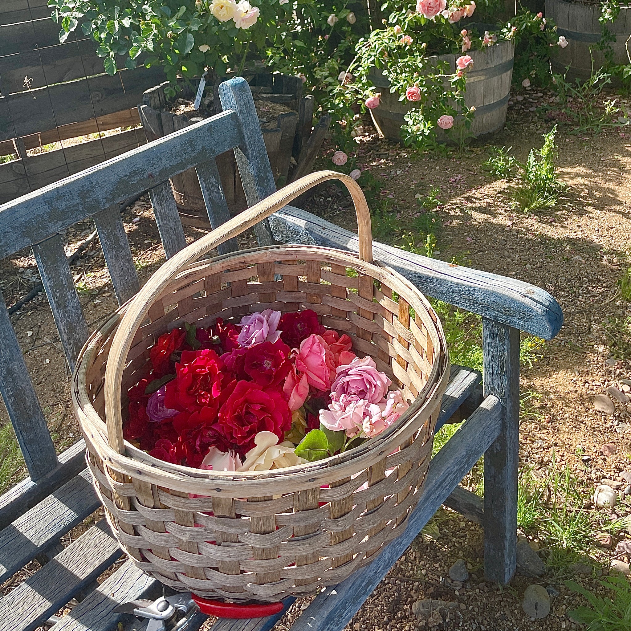 PRACTICING THE WAY COURSE - WEEK ONE - MAY 9TH, 2024