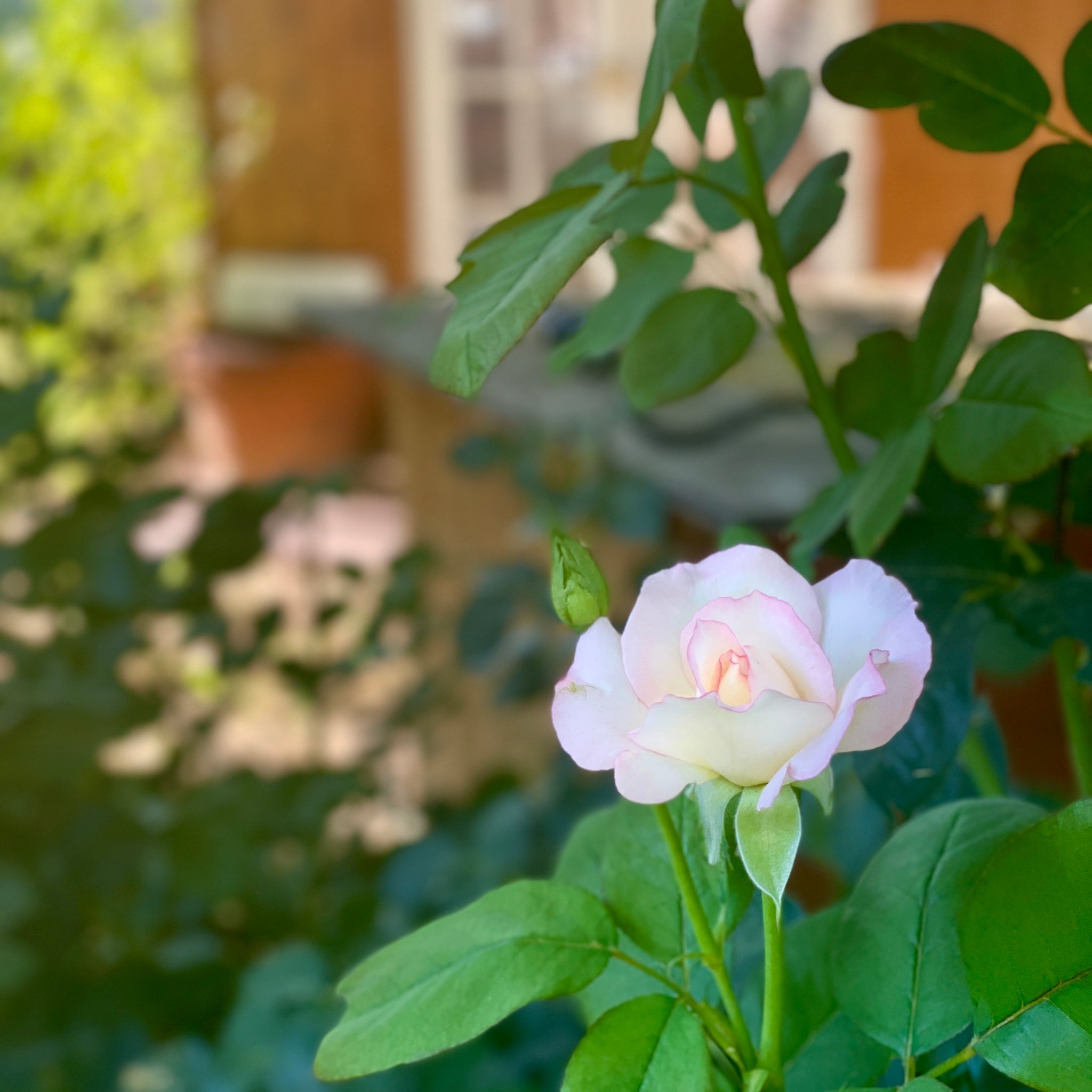 WHAT SABOTAGES SPIRITUAL FORMATION - PART ONE - SIN