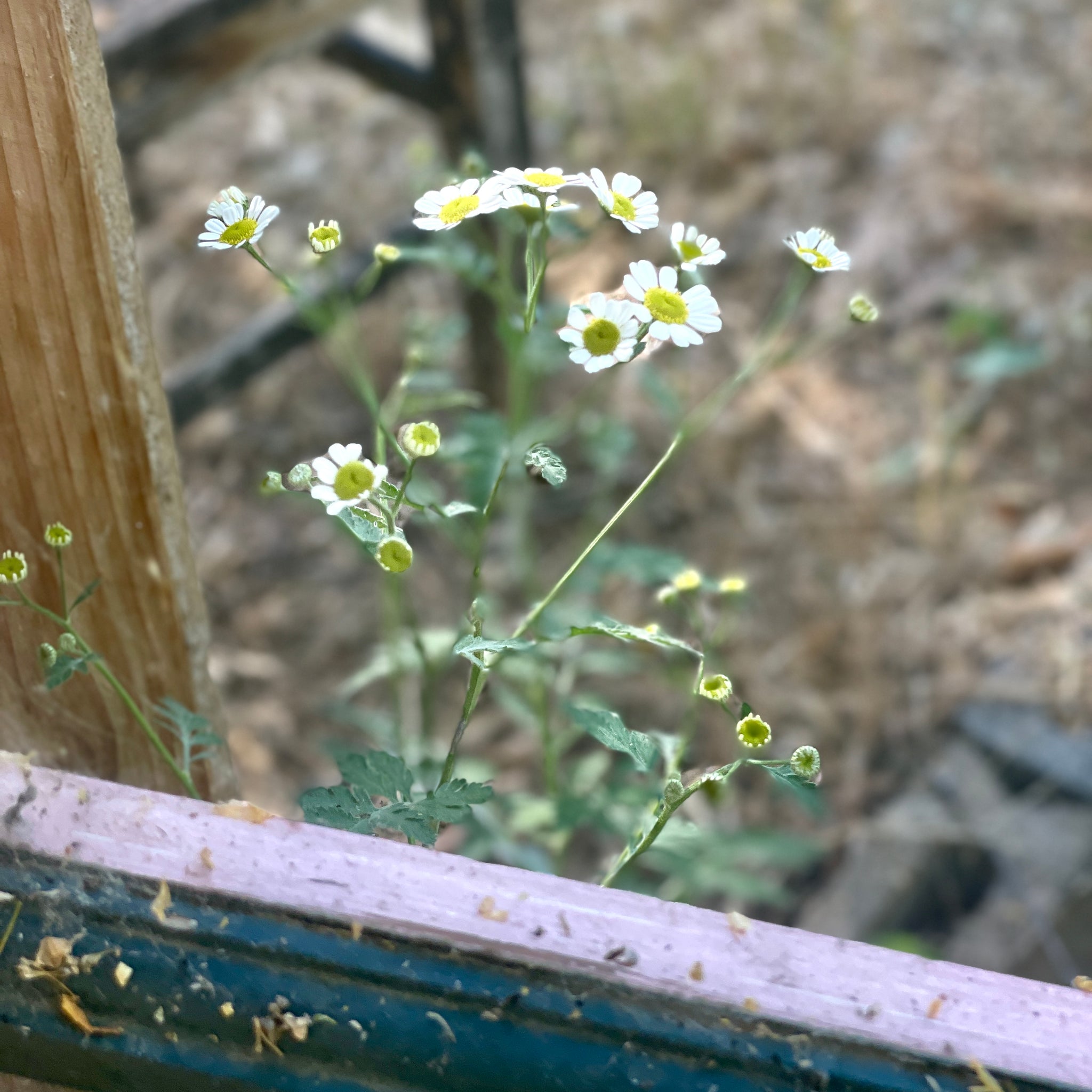 WHAT SABOTAGES SPIRITUAL FORMATION - PART THREE - SELF-AWARENESS