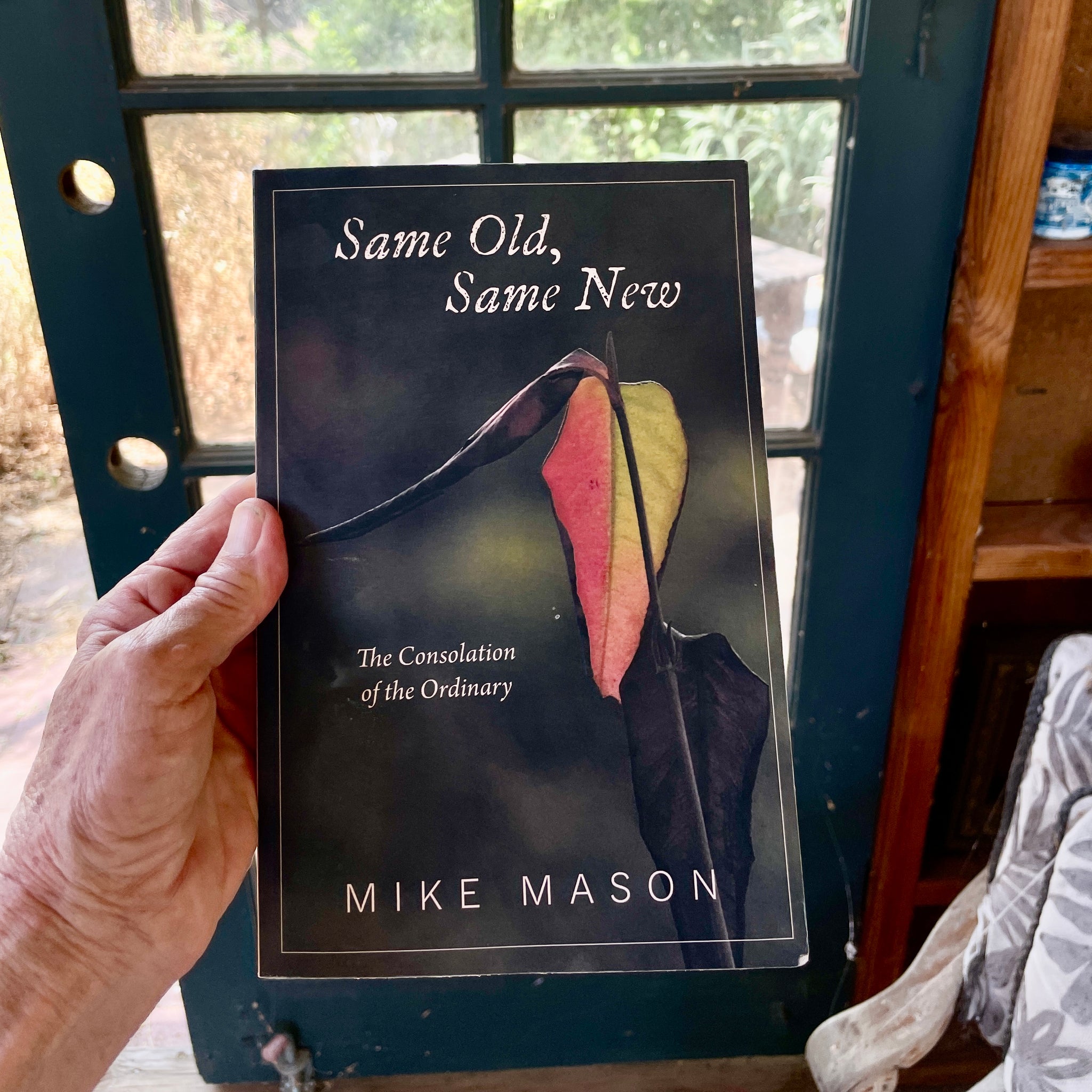 WHAT WE'RE READING LATELY