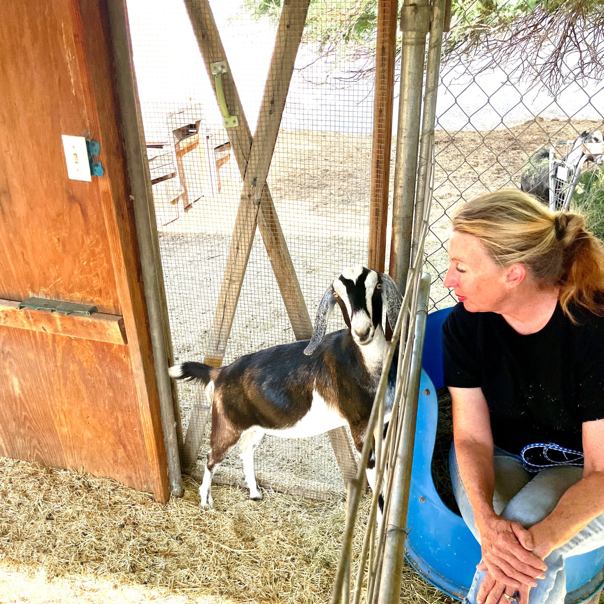 SLOWING DOWN AND REMEMBERING - JUNE 2012 - A FIRST