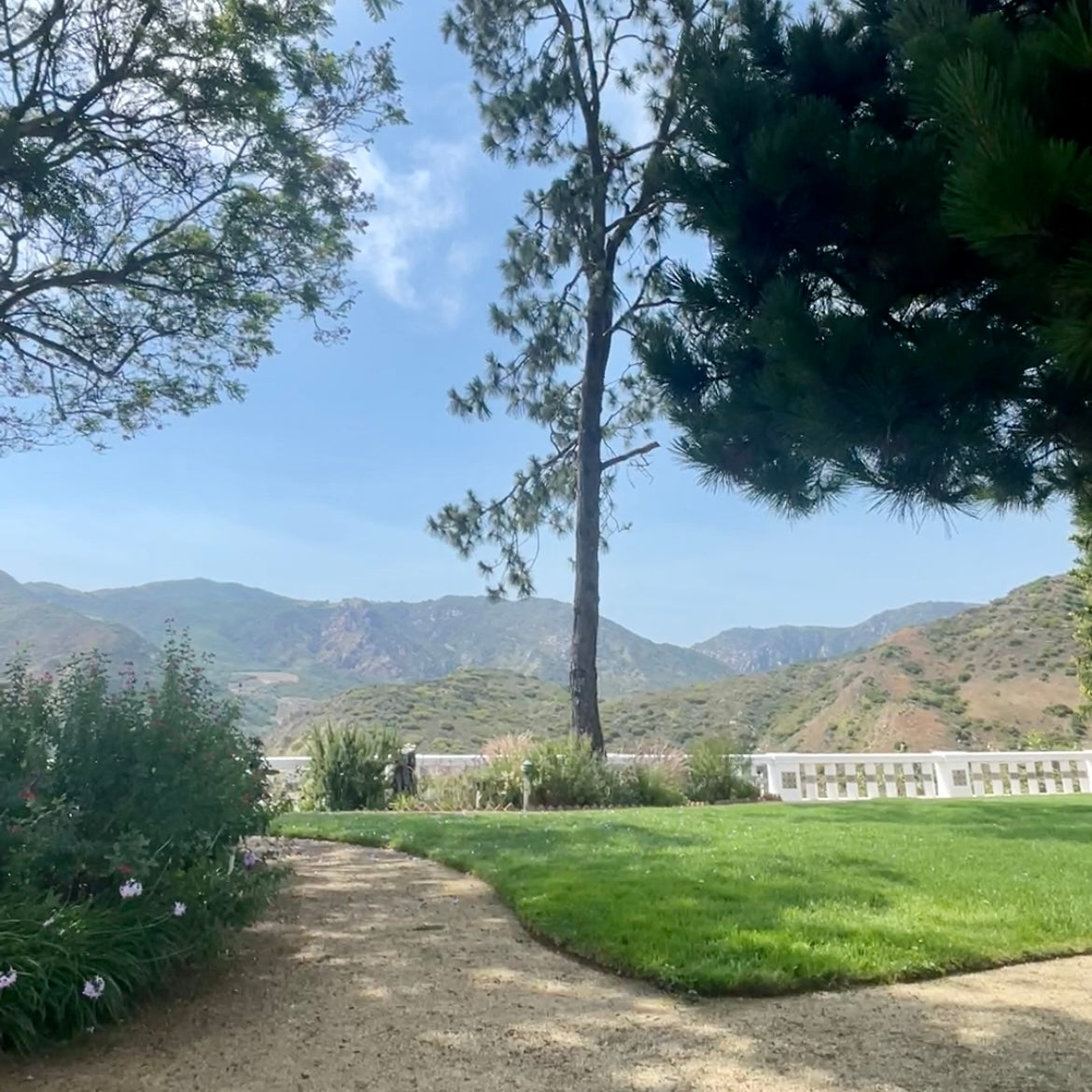 SUMMER SABBATICAL - GARDEN INSPIRATION