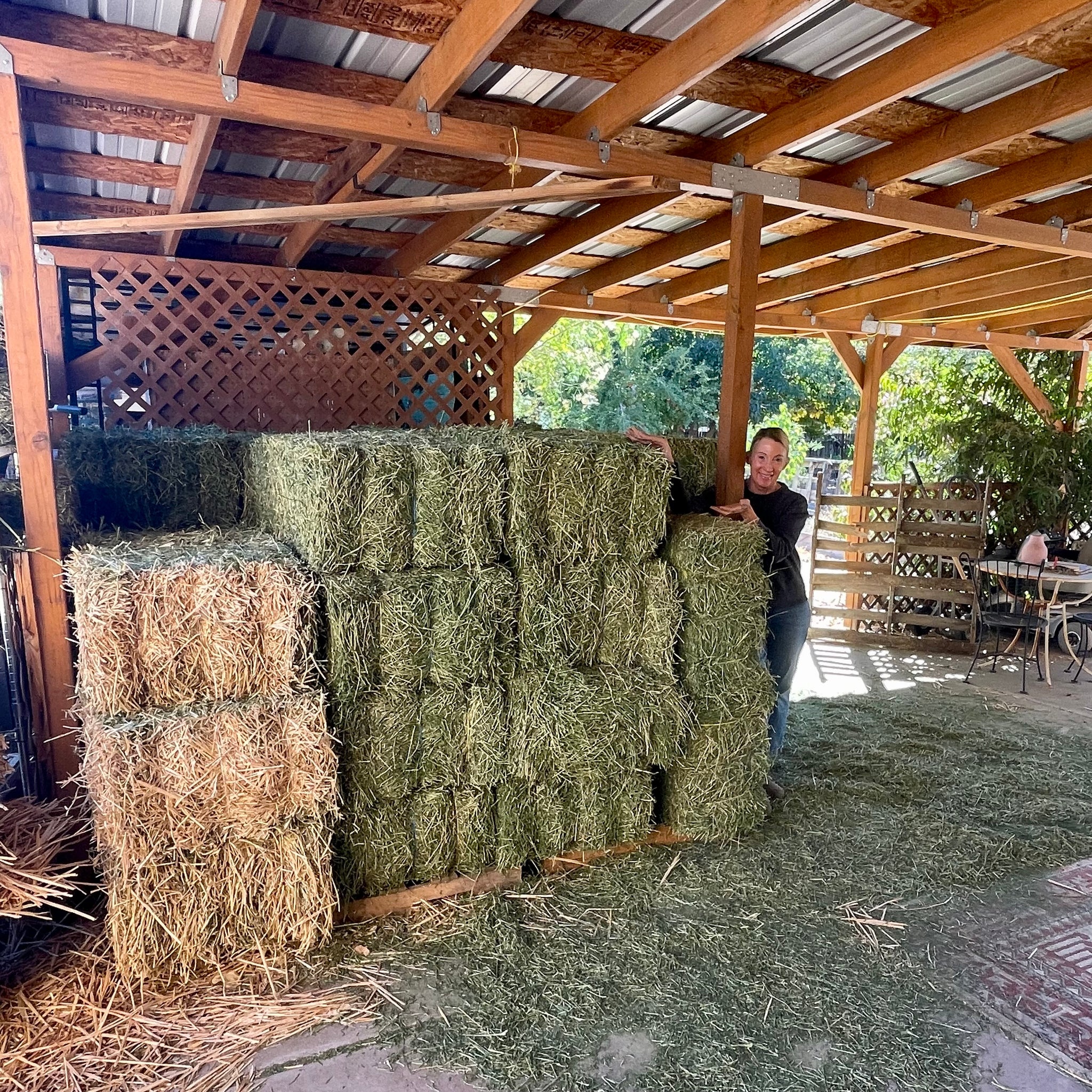 OPPORTUNITY TO HELP FEED THE GOATS