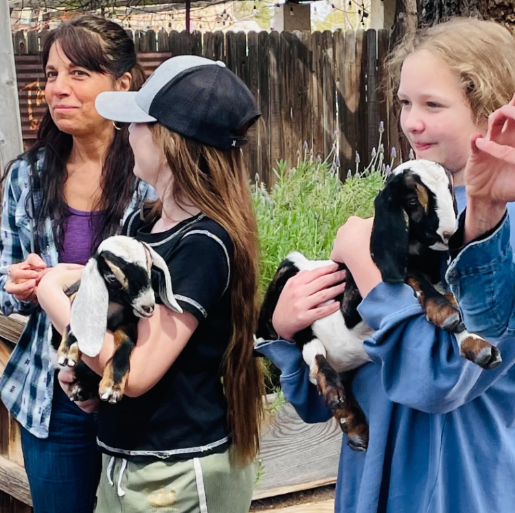 EXPERIENCE A SUNDAY MEETING THE BABY GOATS - SPRING 2025