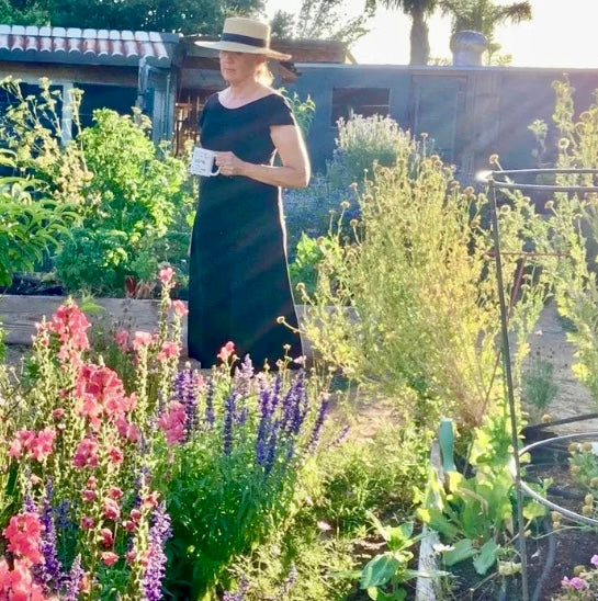 TIPS TO DESIGN A KITCHEN GARDEN
