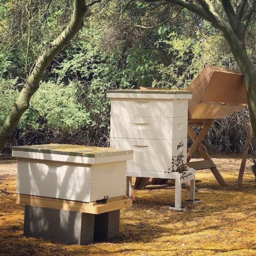 2024 Beginner Beekeeper School